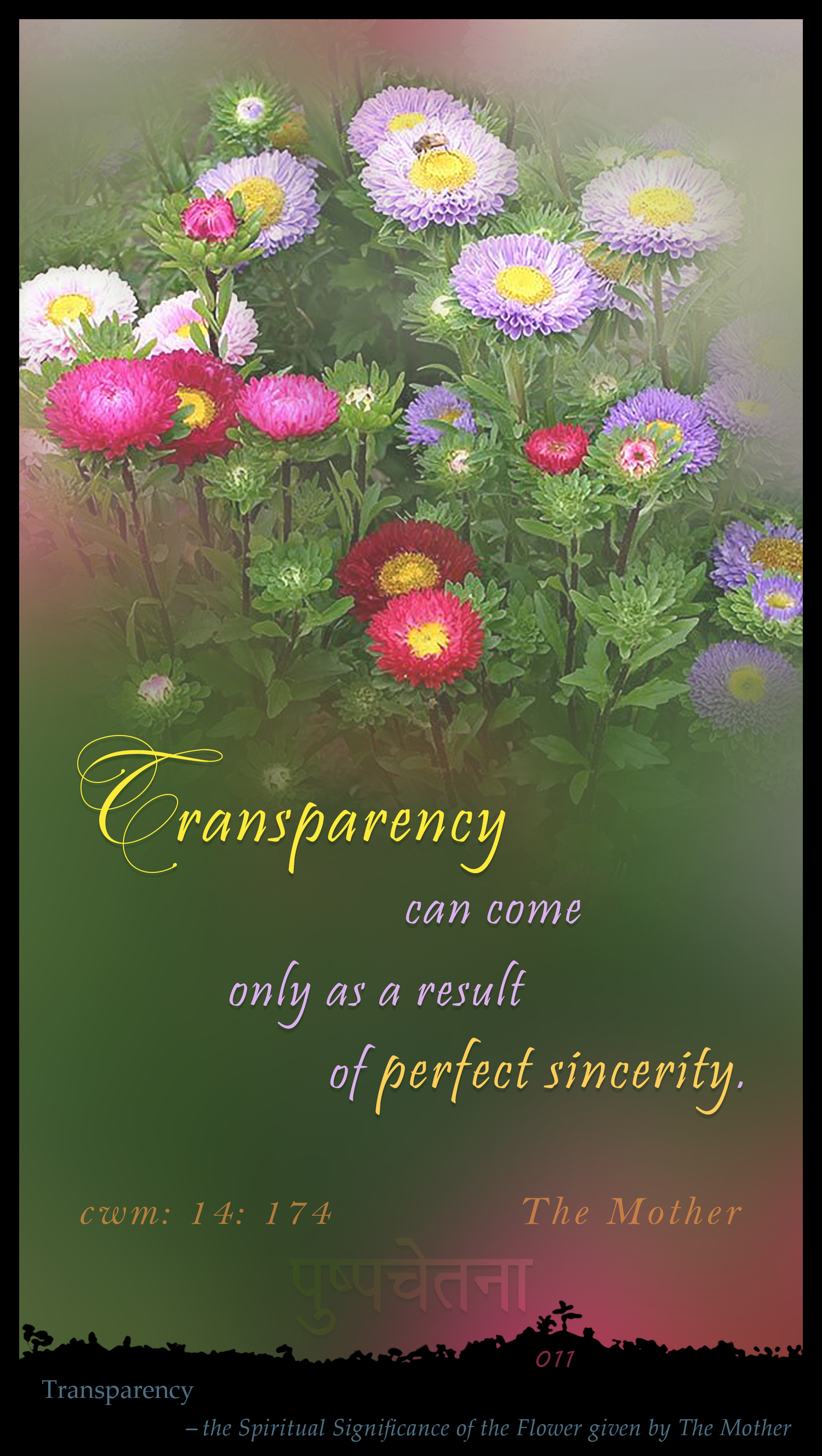 Transparency 